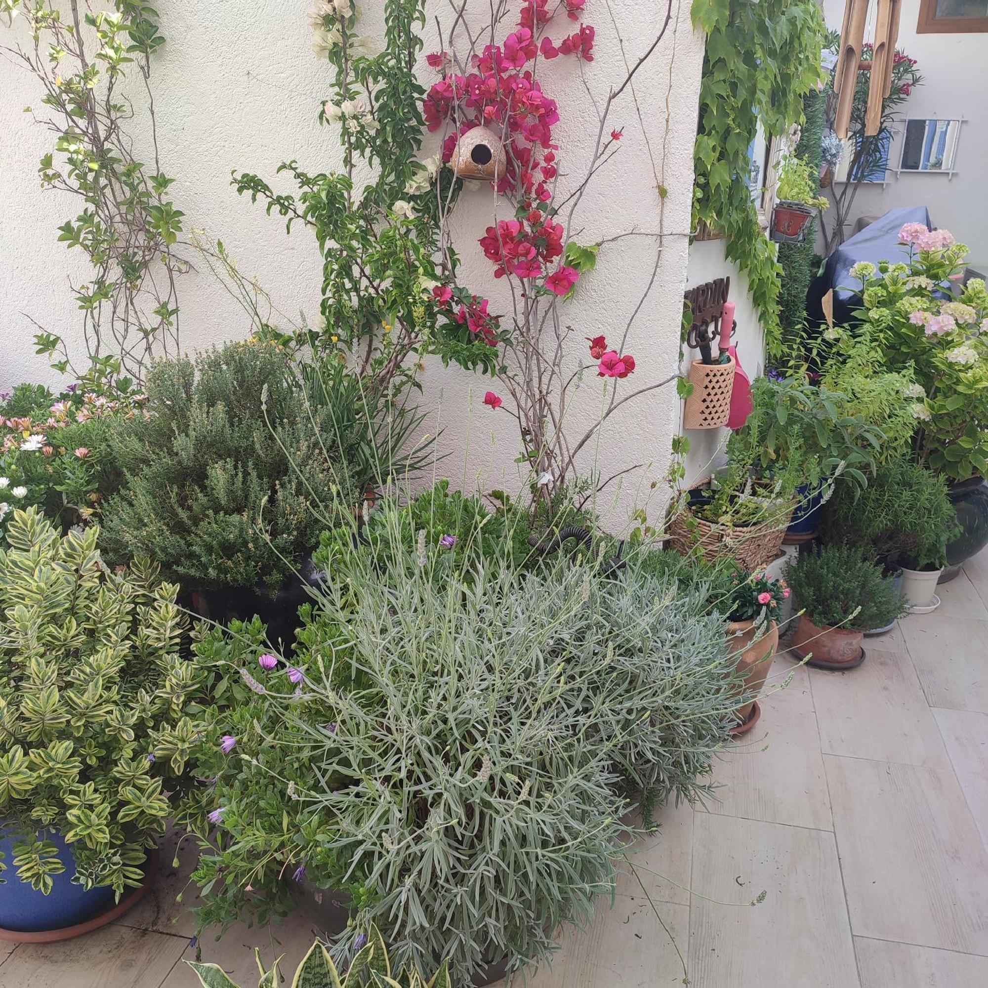 Juan Les Pins Plages Clim Wifi Maison Entiere Antibes Exterior photo